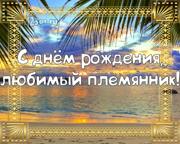 С днём рождения, любимый племянник! картинка для племянника с экзотикой для вацап, для телеграм, для вк, для фейсбук, для одноклассники! Скачать онлайн бесплатно для вацап!