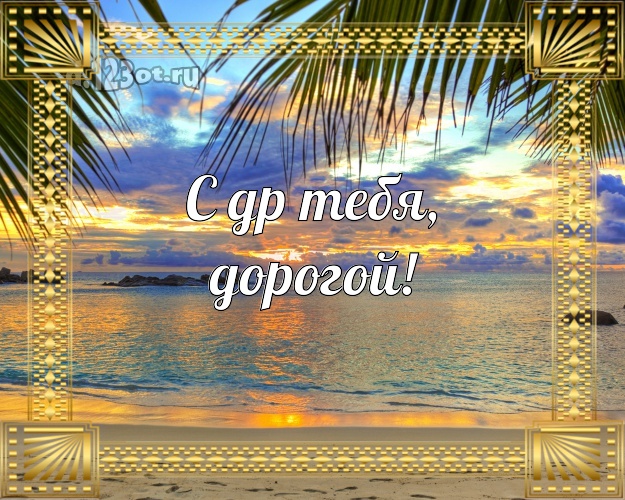 В день рождения! картинка молодому человеку с экзотической природой для вацап, для telegram, для vk, для facebook, для одноклассники! Скачать онлайн бесплатно для вацап!