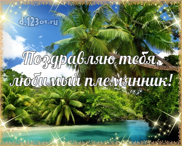 Поздравляю Тебя, любимый племянник! открытка племяннику с экзотикой для whatsApp, для telegram, для вконтакте, для facebook, для одноклассников! Скачать онлайн бесплатно для вацап!