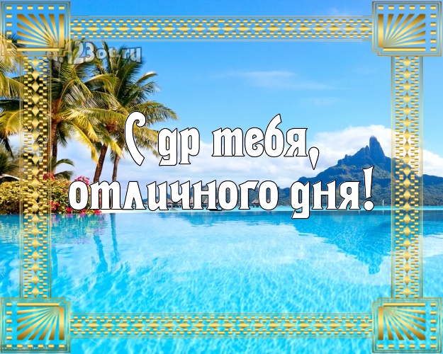 С днём рождения! открытка парню с экзотикой для ватсапа, для телеграм, для вконтакте, для facebook, для одноклассники!! Скачать онлайн бесплатно для вацап!