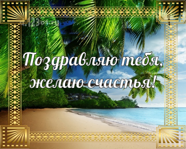 В день рождения! открытка парню с пальмами для whatsApp, для телеграм, для vk, для фейсбука, для одноклассники!! Скачать онлайн бесплатно для вацап!