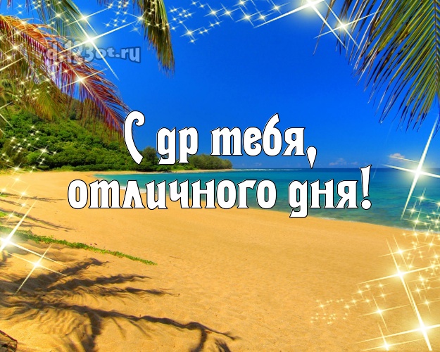 На день рождения! картинка парню с пальмами для whatsApp, для telegram, для vk, для фейсбук, для одноклассников!! Скачать онлайн бесплатно для вацап!