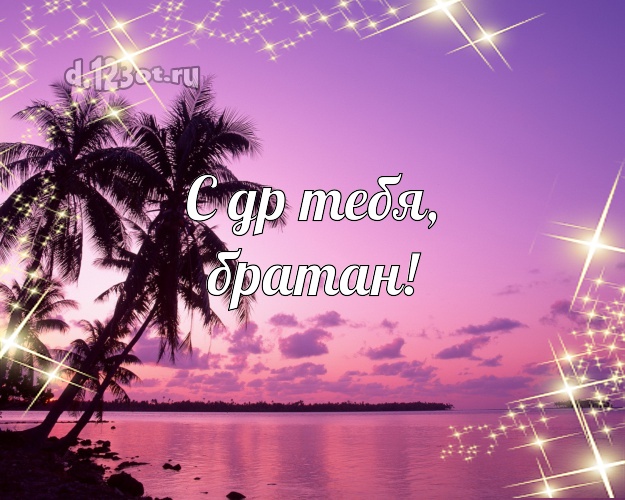 Ко дню рождения! открытка для молодого человека с экзотикой для ватсапа, для телеграм, для вк, для facebook, для одноклассники! Скачать онлайн бесплатно для вацап!