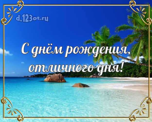 С днём рождения! картинка директору с экзотикой для whatsApp, для телеграм, для vk, для фейсбука, для одноклассников!! Скачать онлайн бесплатно для вацап!