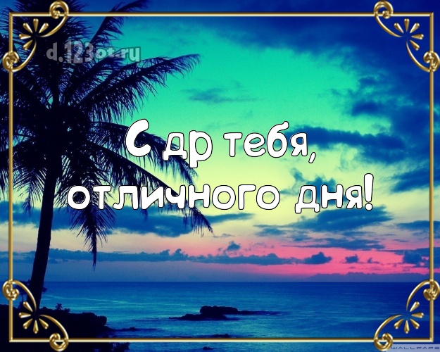 На день рождения! картинка парню с экзотикой для whatsApp, для telegram, для vk, для фейсбука, для одноклассников!! Скачать онлайн бесплатно для вацап!