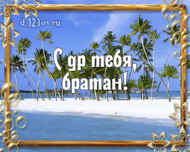 На день рождения! картинка для мужчины с экзотической природой для ватсапа, для телеграм, для vk, для фейсбука, для одноклассников! Скачать онлайн бесплатно для вацап!
