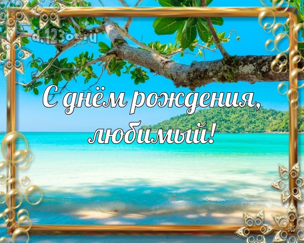 С днём рождения! картинка для любимого мужа с экзотикой для whatsApp, для telegram, для вк, для фейсбука, для одноклассников! Скачать онлайн бесплатно для вацап!