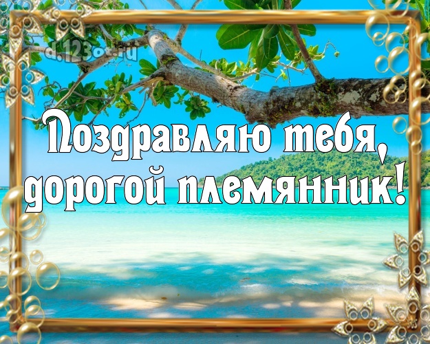 Поздравляю Тебя, дорогой племянник! картинка племяннику с экзотической природой для ватсапа, для telegram, для вк, для фейсбук, для одноклассники! Скачать онлайн бесплатно для вацап!