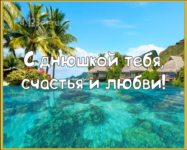 С днём рождения! картинка парню с экзотикой для whatsApp, для телеграм, для вк, для фейсбука, для одноклассников!! Скачать онлайн бесплатно для вацап!