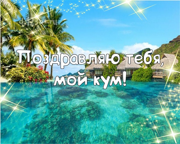 Поздравляю Тебя, мой кум! картинка куму с экзотикой для ватсапа, для телеграм, для вконтакте, для фейсбук, для одноклассники! Скачать онлайн бесплатно для вацап!