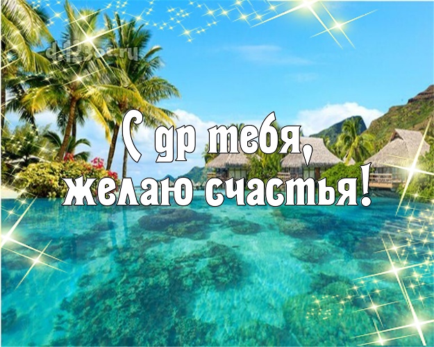 Ко дню рождения! картинка с экзотикой для whatsApp, для телеграм, для вконтакте, для фейсбук, для одноклассники!! Скачать онлайн бесплатно для вацап!