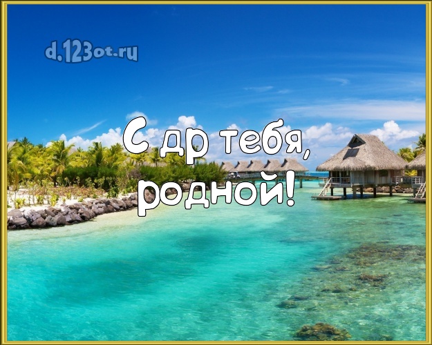 С днём рождения! открытка для молодого человека с экзотикой для whatsApp, для телеграм, для vk, для facebook, для одноклассников! Скачать онлайн бесплатно для вацап!