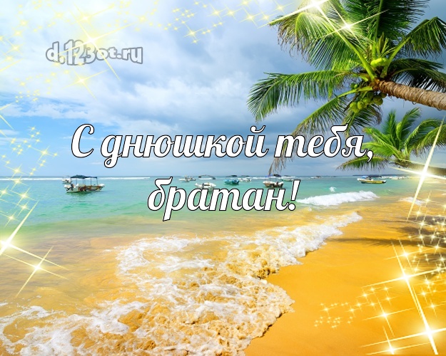 В день рождения! открытка мужчине с экзотикой для вацап, для телеграм, для vk, для фейсбук, для одноклассников! Скачать онлайн бесплатно для вацап!