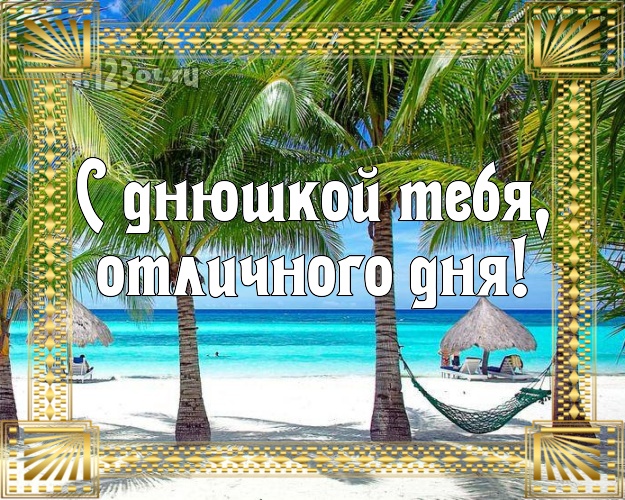 Ко дню рождения! открытка парню с экзотической природой для whatsApp, для telegram, для вк, для фейсбука, для одноклассники!! Скачать онлайн бесплатно для вацап!