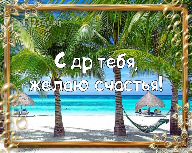 Ко дню рождения! открытка парню с экзотикой для whatsApp, для телеграм, для вконтакте, для facebook, для одноклассников!! Скачать онлайн бесплатно для вацап!