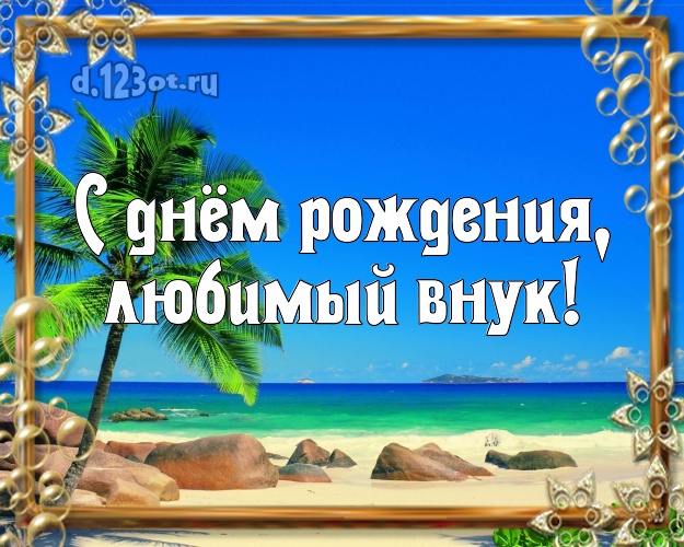 С днём рождения, любимый внук! открытка для внучка с экзотической природой для вацап, для telegram, для вк, для facebook, для одноклассники! Скачать онлайн бесплатно для вацап!