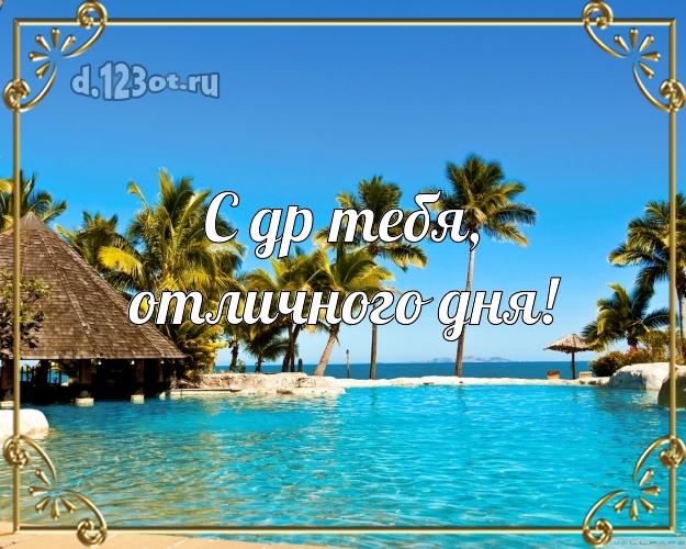 На день рождения! открытка парню с экзотикой для вацап, для telegram, для vk, для фейсбук, для одноклассники!! Скачать онлайн бесплатно для вацап!