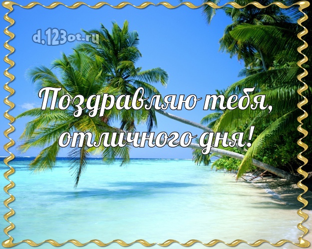 Ко дню рождения! открытка парню с экзотикой для whatsApp, для телеграм, для вк, для фейсбука, для одноклассников!! Скачать онлайн бесплатно для вацап!