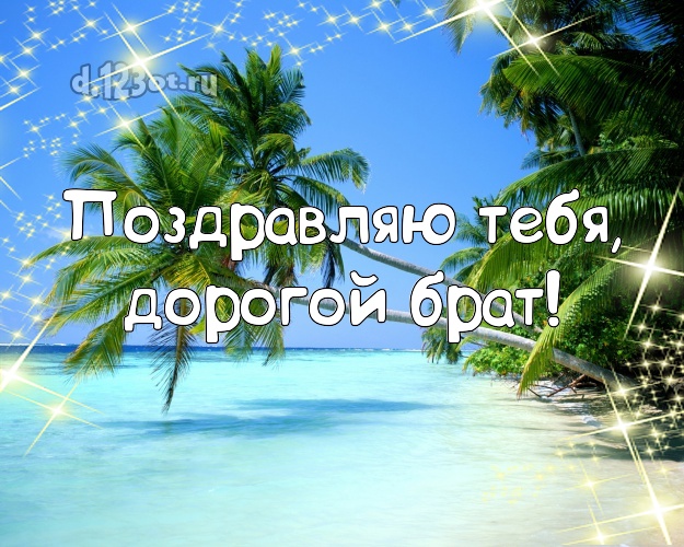 С днём рождения! картинка братику с экзотической природой для ватсапа, для телеграм, для vk, для фейсбука, для одноклассников! Скачать онлайн бесплатно для вацап!