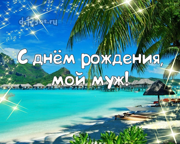 Ко дню рождения! открытка муженьку с экзотической природой для ватсапа, для telegram, для vk, для фейсбук, для одноклассники! Скачать онлайн бесплатно для вацап!