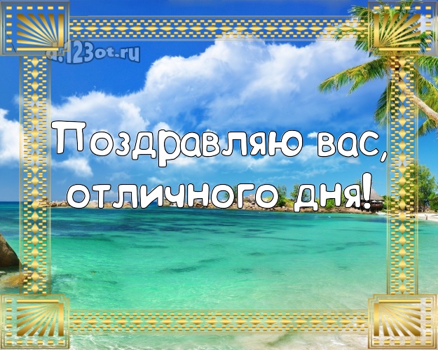 Ко дню рождения! картинка с пальмами для ватсапа, для telegram, для vk, для фейсбука, для одноклассники!! Скачать онлайн бесплатно для вацап!