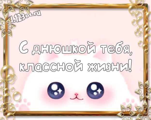 С днюшкой Тебя, классной жизни! Жизнерадостная картинка мужу с прикольными существами для вацап, для telegram, для вк, для фейсбука, для одноклассники! Скачать онлайн бесплатно для вацап!