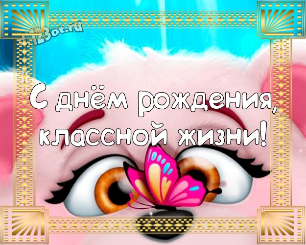С днём рождения, классной жизни! С юмором открытка для дорогого и веселого мужчины с героями мультфильмов для ватсапа, для telegram, для vk, для фейсбук, для одноклассники! Скачать онлайн бесплатно для вацап!