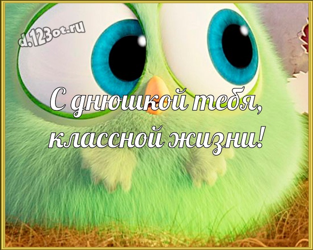 С днюшкой Тебя, классной жизни! Классная картинка самым классным на свете и родным людям с прикольными существами для вацап, для телеграм, для вконтакте, для facebook, для одноклассников! Скачать онлайн бесплатно для вацап!