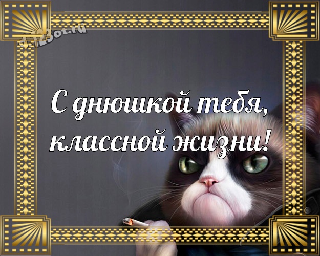 С днюшкой Тебя, классной жизни! С приколом картинка однокурснику с мультяшками для ватсапа, для телеграм, для вк, для фейсбук, для одноклассники! Скачать онлайн бесплатно для вацап!