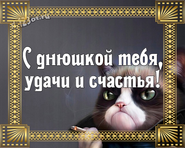 С днюшкой Тебя, удачи и счастья! Обаятельная открытка прикольному парню с мультяшками для whatsApp, для telegram, для вк, для facebook, для одноклассников! Скачать онлайн бесплатно для вацап!