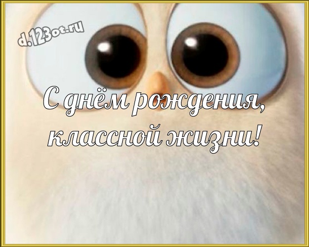 С днём рождения, классной жизни! Яркая картинка прикольному и любимому мужу с героями мультиков для ватсапа, для телеграм, для vk, для facebook, для одноклассников! Скачать онлайн бесплатно для вацап!