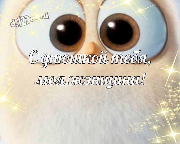 С днюшкой Тебя, моя жЭнщина! С юмором картинка дорогой и озорной женщине с прикольными существами для ватсапа, для телеграм, для vk, для фейсбука, для одноклассников! Скачать онлайн бесплатно для вацап!