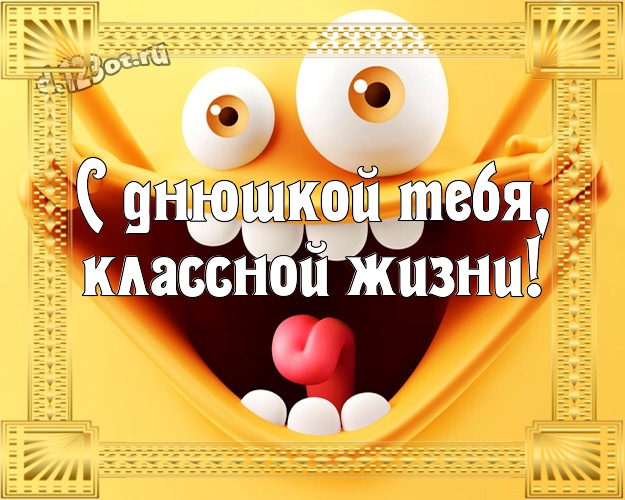 С днюшкой Тебя, классной жизни! Юморная открытка классному, веселому, родному мужчине с прикольными существами для whatsApp, для telegram, для вконтакте, для фейсбук, для одноклассники! Скачать онлайн бесплатно для вацап!