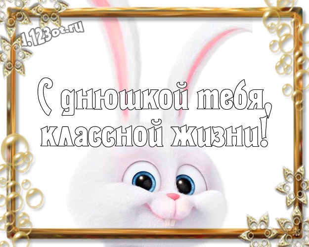 С днюшкой Тебя, классной жизни! Жизнерадостная картинка классному, веселому, родному мужчине с прикольными существами для ватсапа, для телеграм, для vk, для фейсбука, для одноклассники! Скачать онлайн бесплатно для вацап!