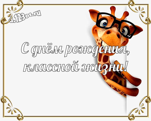 С днём рождения, классной жизни! С юмором открытка другу с прикольными существами для whatsApp, для телеграм, для вконтакте, для фейсбука, для одноклассники! Скачать онлайн бесплатно для вацап!