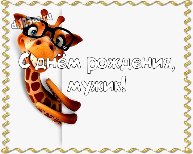 С днём рождения, мужик! Юморная открытка классному парню с прикольными существами для вацап, для telegram, для vk, для фейсбук, для одноклассники! Скачать онлайн бесплатно для вацап!