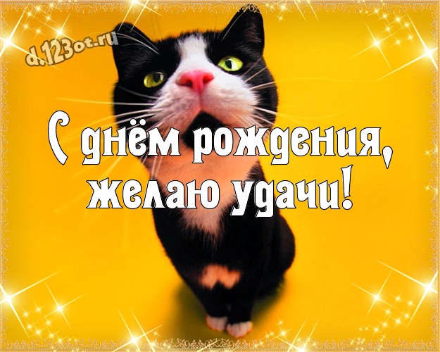 С днём рождения, желаю удачи! Ироничная открытка однокурснику со смайлами для вацап, для telegram, для vk, для фейсбука, для одноклассников! Скачать онлайн бесплатно для вацап!