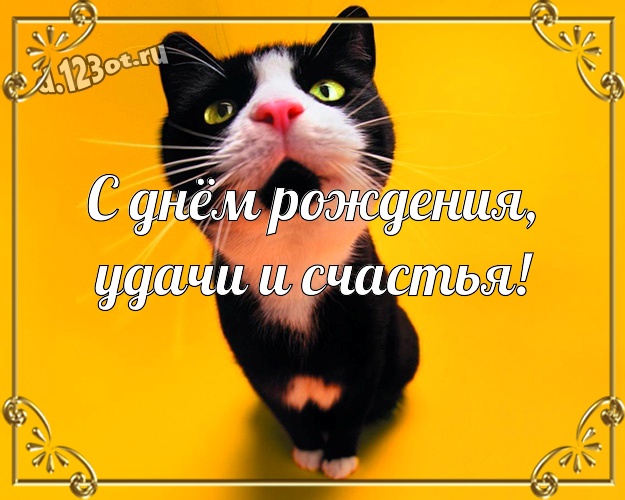 С днём рождения, удачи и счастья! Жизнерадостная картинка другу с героями мультфильмов для whatsApp, для телеграм, для вконтакте, для facebook, для одноклассников! Скачать онлайн бесплатно для вацап!