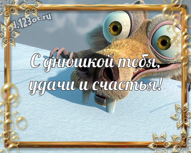 С днюшкой Тебя, удачи и счастья! Сумасшедшая открытка мужу с героями мультиков для whatsApp, для телеграм, для вконтакте, для фейсбук, для одноклассников! Скачать онлайн бесплатно для вацап!
