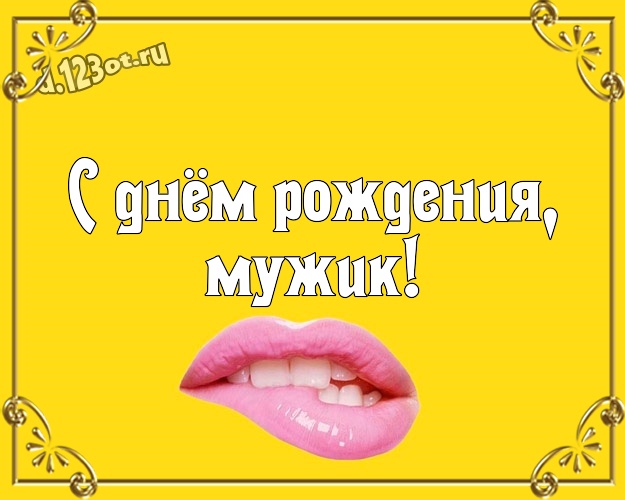 С днём рождения, мужик! Ироничная картинка озорному мужчине с прикольными существами для вацап, для telegram, для вк, для фейсбук, для одноклассники! Скачать онлайн бесплатно для вацап!