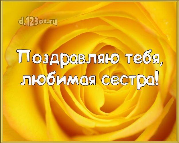 Поздравляю Тебя, любимая сестра! Лучшая картинка лучшей сестре на свете с розами для вацап, для telegram, для vk, для facebook, для одноклассников! Скачать онлайн бесплатно для вацап!