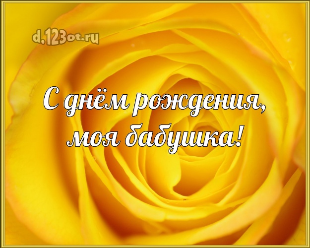 С днём рождения, моя бабушка! Лучшая картинка лучшей бабушке на свете с розами для whatsApp, для telegram, для vk, для фейсбука, для одноклассники! Скачать онлайн бесплатно для вацап!