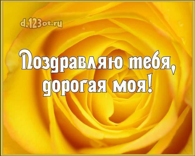 Поздравляю Тебя, дорогая моя! Манящая открытка для классной девчонки с красивой розой для вацап, для телеграм, для vk, для фейсбука, для одноклассников! Скачать онлайн бесплатно для вацап!