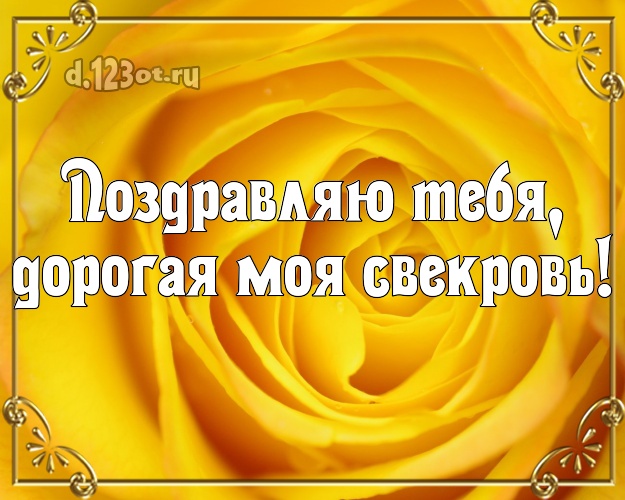 Поздравляю Тебя, дорогая моя свекровь! Манящая открытка для любимой свекрови с розами для whatsApp, для телеграм, для вк, для фейсбук, для одноклассников! Скачать онлайн бесплатно для вацап!