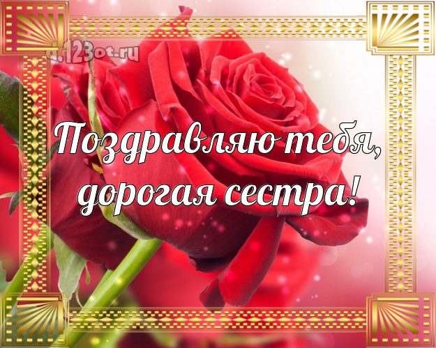 Поздравляю Тебя, дорогая сестра! Дивная картинка лучшей сестре на свете с розой для вацап, для telegram, для vk, для фейсбук, для одноклассники! Скачать онлайн бесплатно для вацап!