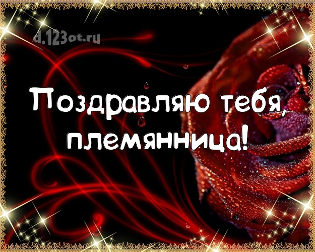 Поздравляю Тебя, любимая племянница! Дивная картинка классной племяшке с розочками для ватсапа, для телеграм, для вк, для facebook, для одноклассников! Скачать онлайн бесплатно для вацап!