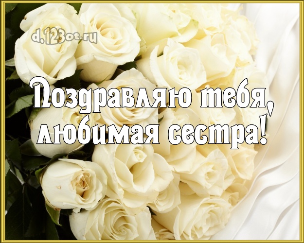 Поздравляю Тебя, любимая сестра! Трогательная картинка лучшей сестре на свете с красивой розой для вацап, для телеграм, для вконтакте, для facebook, для одноклассники! Скачать онлайн бесплатно для вацап!