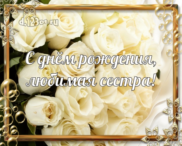 С днём рождения, любимая сестра! Манящая открытка для лучшей сестры с фотками розы для whatsApp, для telegram, для вк, для фейсбук, для одноклассников! Скачать онлайн бесплатно для вацап!
