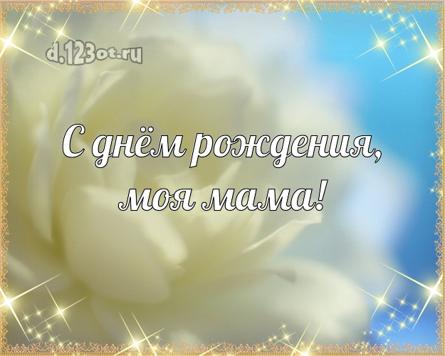 С днём рождения, моя мама! Трогательная открытка классной маме с шикарными розами для вацап, для telegram, для вк, для фейсбук, для одноклассников! Скачать онлайн бесплатно для вацап!