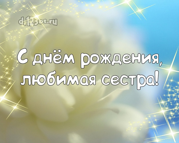 С днём рождения, любимая сестра! Ангельская открытка классной сестре с красивой розой для вацап, для telegram, для вконтакте, для фейсбук, для одноклассников! Скачать онлайн бесплатно для вацап!